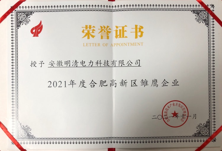 2021年高新区雏鹰企业